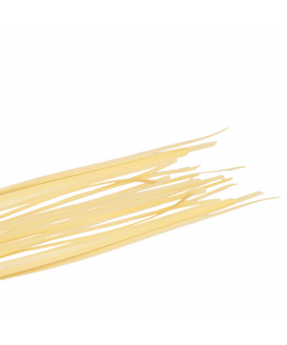 spaghetti-senza-glutine